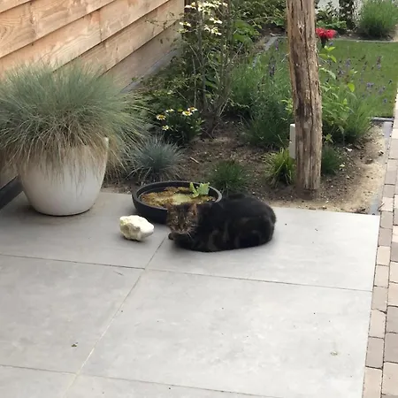 Moderne Gedeelde Woning Met Hottube, Dicht Bij Het Centrum * Eindhoven